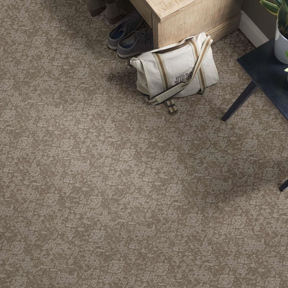 Anderson Tuftex Caress Free Spirit Carpet in Stucco, , large