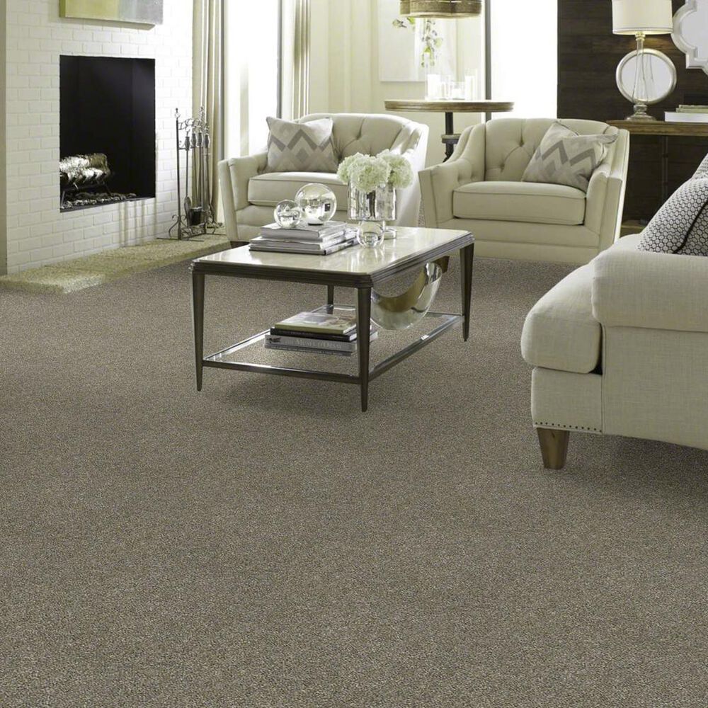 Shaw Carpet in Weathered, , large