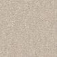 Shaw Awaken Spirit II 12" Carpet in Spun Wool, , large