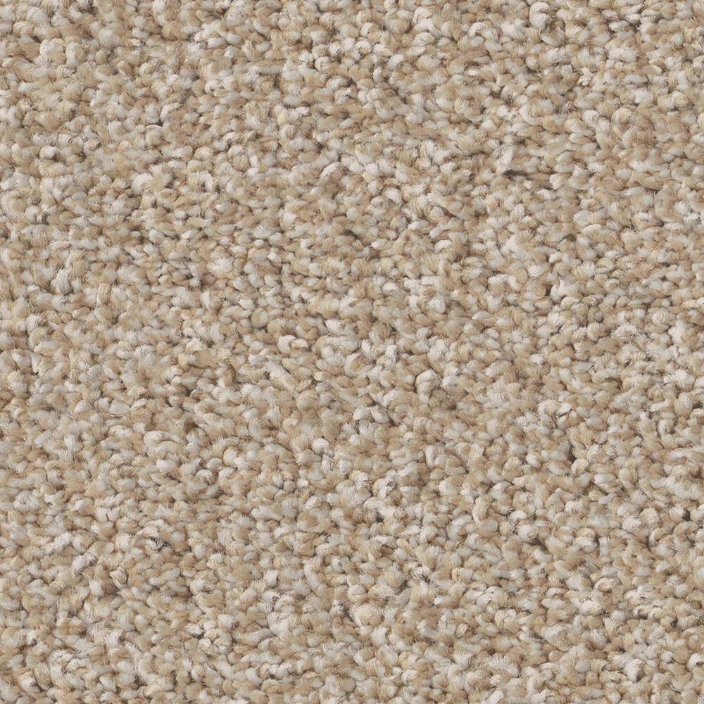 Shaw Imaginable I Carpet in Latte, , large