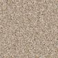 Shaw Imaginable I Carpet in Latte, , large