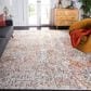 Safavieh Aston ASN728 9" x 12" Ivory and Grey Area Rug, , large