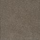 Dream Weaver PS850 Carpet in Umber, , large