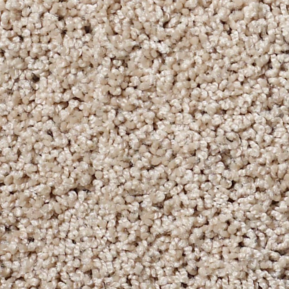 Shaw Foundations Take The Floor Twist II Carpet in Hickory, , large