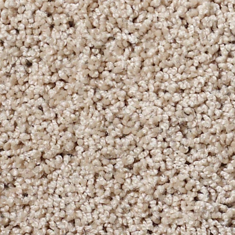 Shaw Foundations Take The Floor Twist II Carpet in Hickory, , large