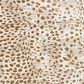 Feizy Waldor Animal Print 5" x 8" Beige Area Rug, , large