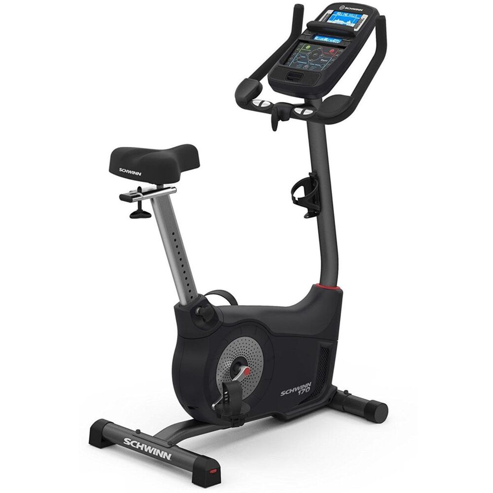 Schwinn 170 Upright Bike, , large