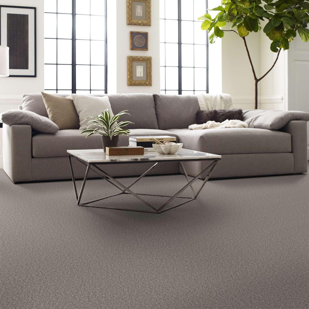 Shaw Always Right II Carpet in Sea Salt, , large