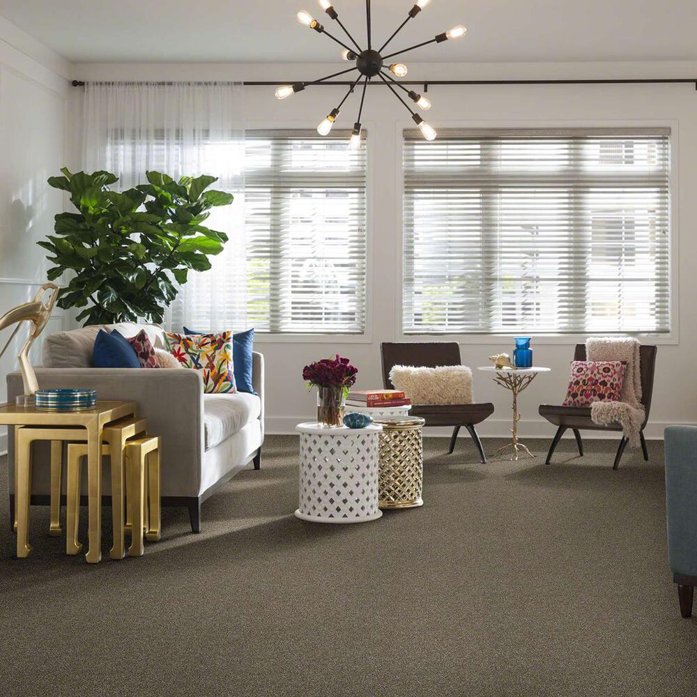 Shaw Luminous Carpet in Granola, , large