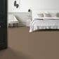 Anderson Tuftex Enduring Charm Carpet in Latte, , large