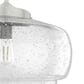 Hunter Saddle Creek 16" 1-Light Pendant with Clear Seeded Shade in Brushed Nickel, , large