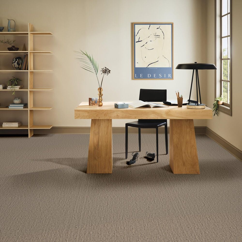 Anderson Tuftex Sensate Carpet in Zen, , large