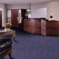 Shaw Latest Trend Carpet in Moonlight Navy, , large