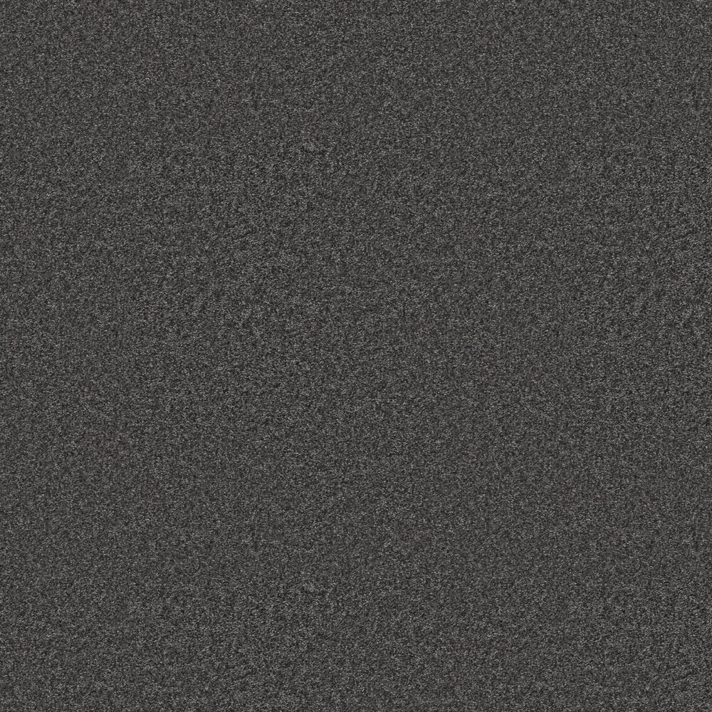 Shaw You Got This I Carpet in Shadow, , large