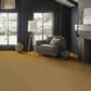 Anderson Tuftex Finery Carpet in Gold Coin, , large