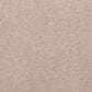 Mohawk Luxuriant Feel Carpet in Nomad, , large