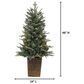 The Gerson Company 4" Potted Pre-Lit Artificial Blue Spruce with White Lights in Green, , large