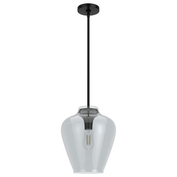 Hunter Vidria 1-Light Pendant in Matte Black, , large