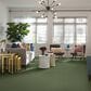 Shaw Detailed Statement Loop Carpet in Bay Laurel, , large