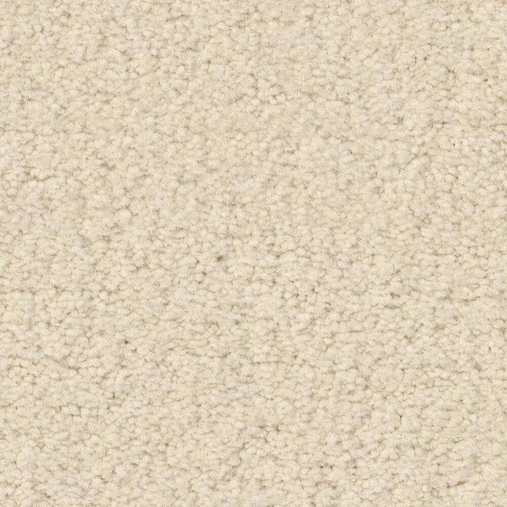 Anderson Tuftex Finery Carpet in Swiss Alps, , large