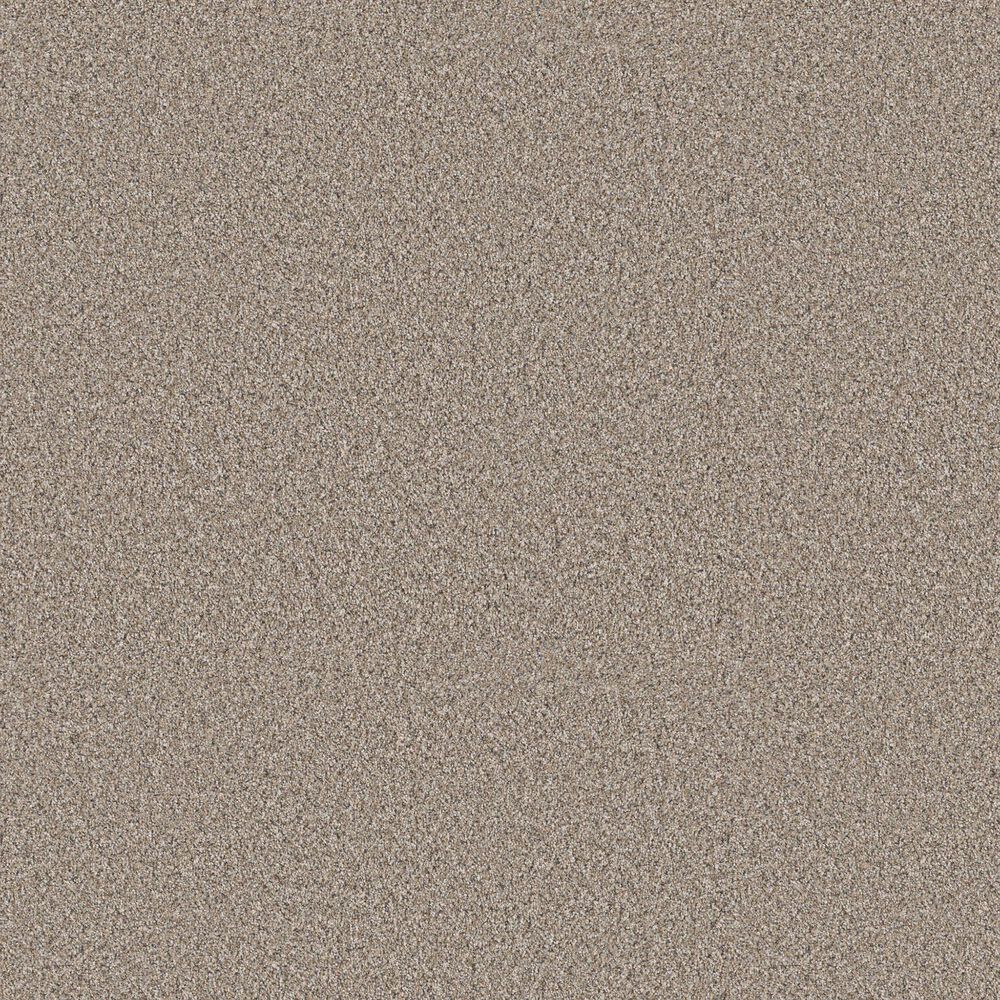 Shaw Higher Ground I Carpet in Nutria, , large
