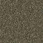 Philadelphia Champagne Taste II Carpet in Rerooted Nature, , large