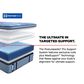 Sealy Posturepedic Pro Wilkins Plush Pillow Top Full Mattress, , large