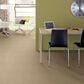 Anderson Tuftex Mosaic Carpet in Oak Ridge, , large