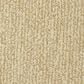 Masland Mesa Verde Carpet in Copley, , large