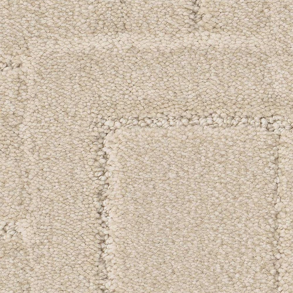 Anderson Tuftex Path Carpet in Dry Creek, , large