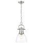 Golden Lighting Duncan 1-Light Small Pendant with Chain and Clear Shade in Pewter, , large