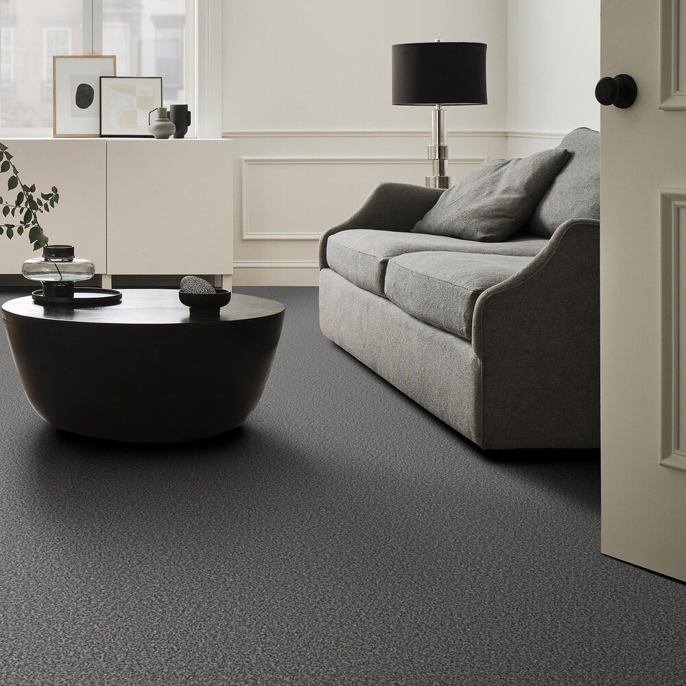Shaw Tweed Comfort I Carpet in Carolina, , large