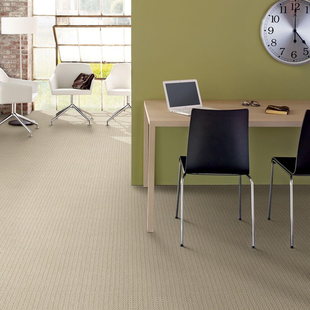 Anderson Tuftex San Lucas Carpet in Beach Haven, , large