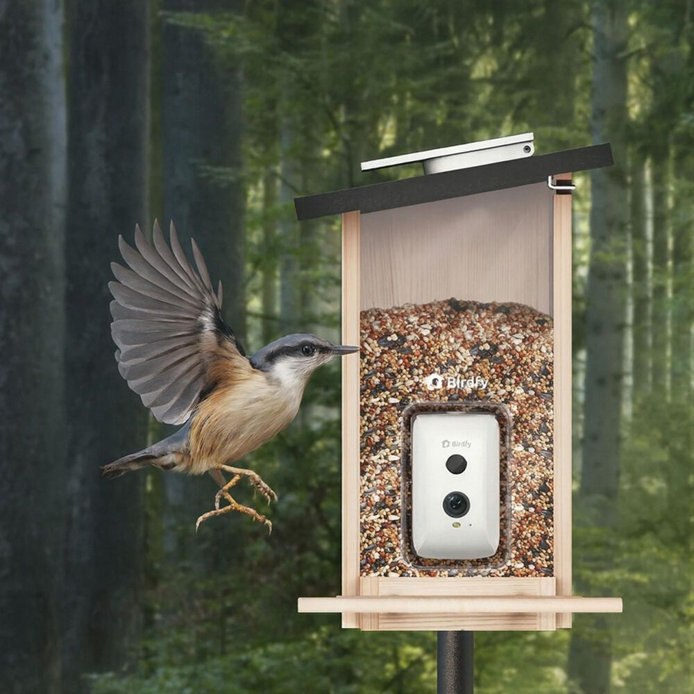 Birdfy Bird Feeder Ebony with Smart Camera and Solar Panel in Brown and Black, , large