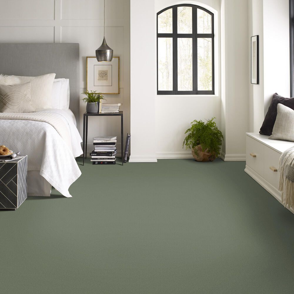 Anderson Tuftex Finery Carpet in Valley View, , large