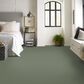 Anderson Tuftex Finery Carpet in Valley View, , large