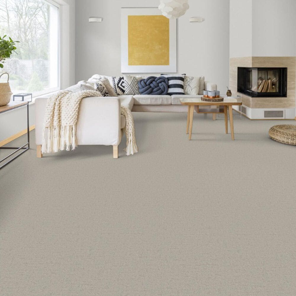 Dixie Home Genuine Carpet in Simplicity, , large
