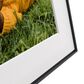 Aura Walden 15" Digital Wi-Fi Photo Frame with Paper Mat in Carbon, , large