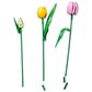 LEGO Botanicals Tulip Bouquet Building Set, , large