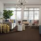 Anderson Tuftex Luna Carpet in Fallen Timber, , large