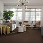 Anderson Tuftex Luna Carpet in Fallen Timber, , large