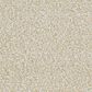 Masland Saint Luca Carpet in Everlasting, , large