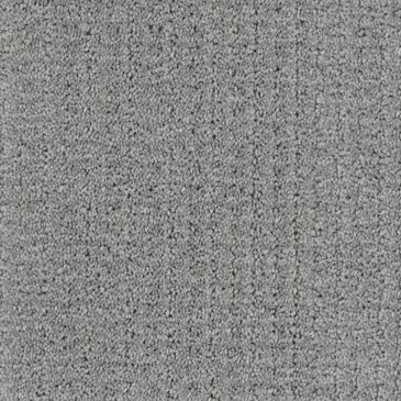 Dixie Home Sensible Carpet in Pebble, , large