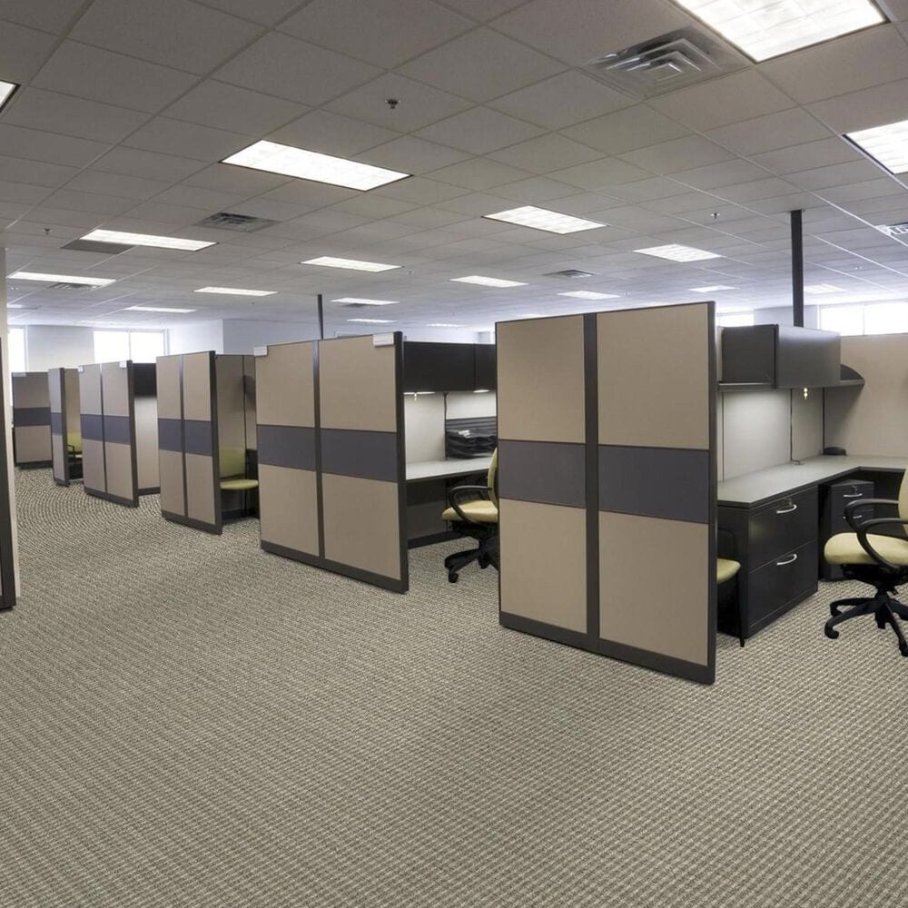 Shaw Fair Shake Carpet in Oath, , large