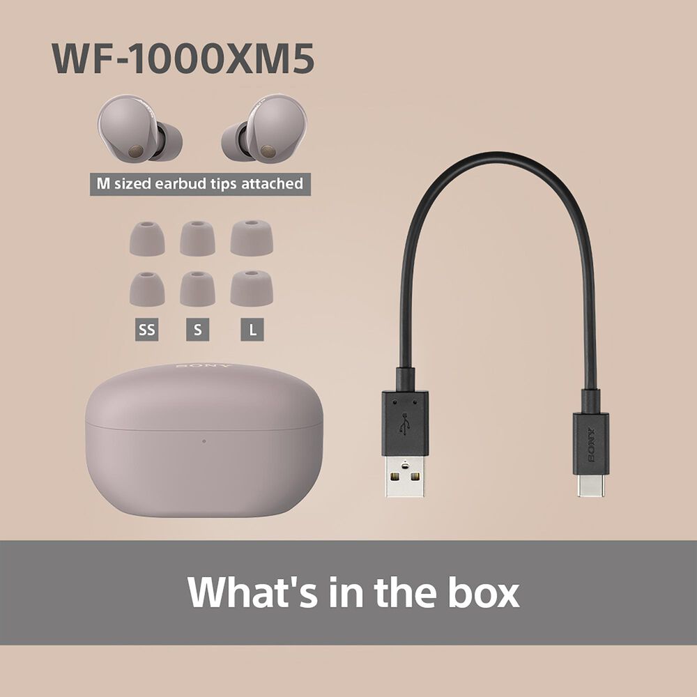 Sony Wireless Noise Cancelling Earbuds in Smoky Pink, , large