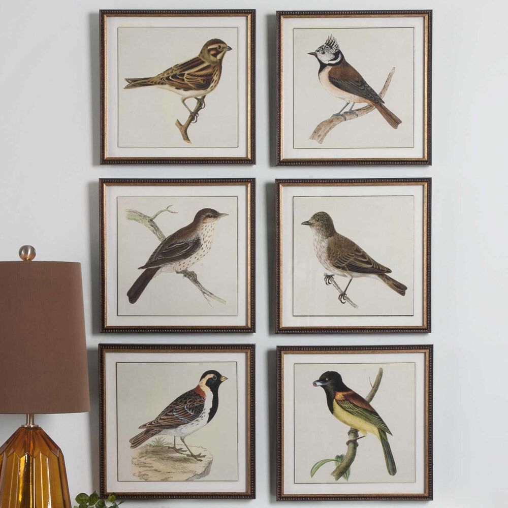 Uttermost Spring Soldier Bird Prints (Set of 6), , large