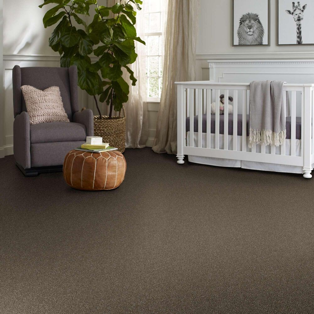 Shaw Without Limits II Carpet in Bountiful, , large