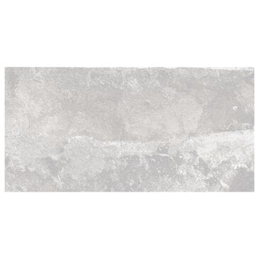 Emser Cavanite Fawn 12" x 24" Matte Ceramic Tile, , large