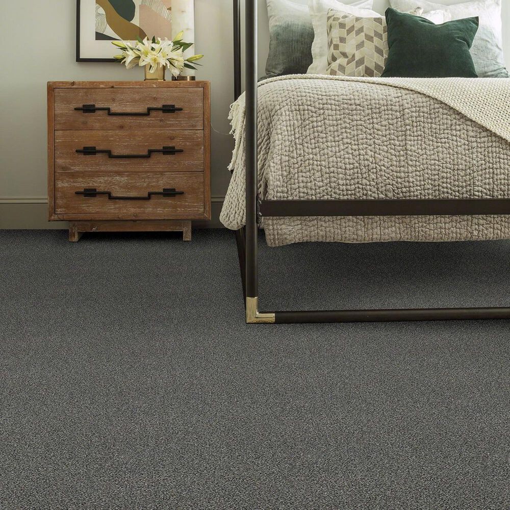 Anderson Tuftex The Bark Side II Carpet in Rushmore, , large