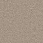 Dream Weaver East Hampton 2550 Carpet in Quail, , large